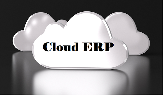 The Top Advantages of Cloud ERP And Local ERP.png